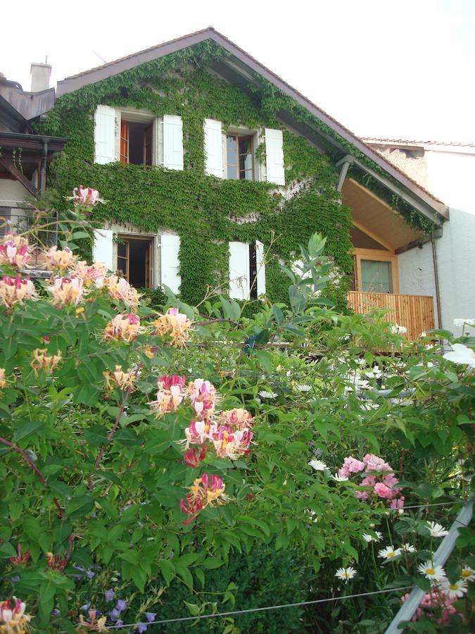Wonderlandscape Guest House Le Grand Saconnex Buitenkant foto