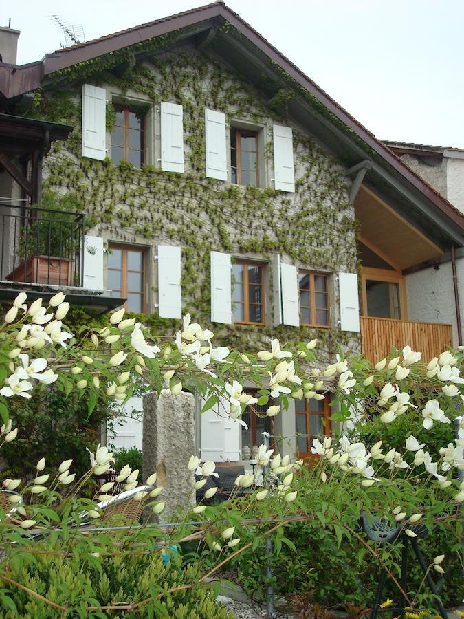 Wonderlandscape Guest House Le Grand Saconnex Buitenkant foto